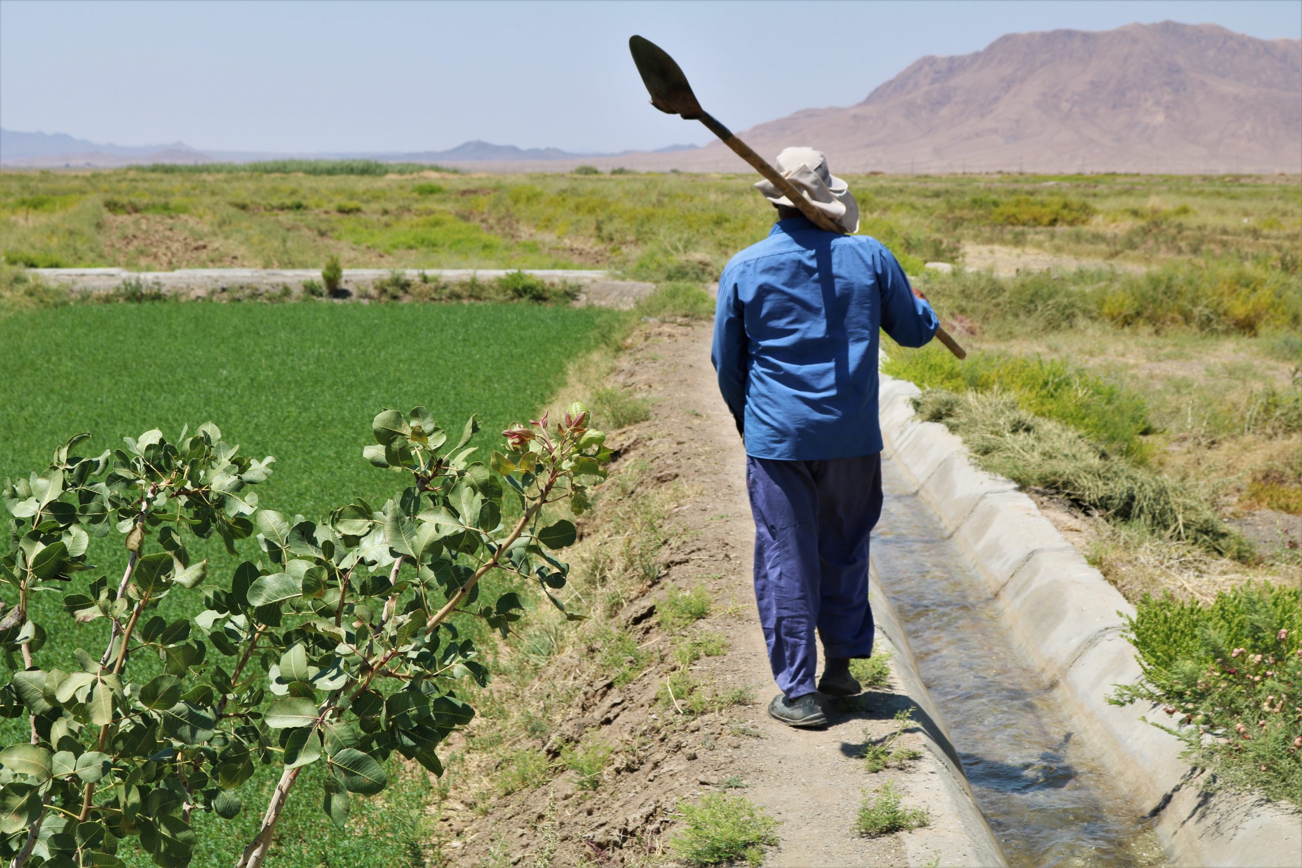 کار میدانی در خراسان جنوبی