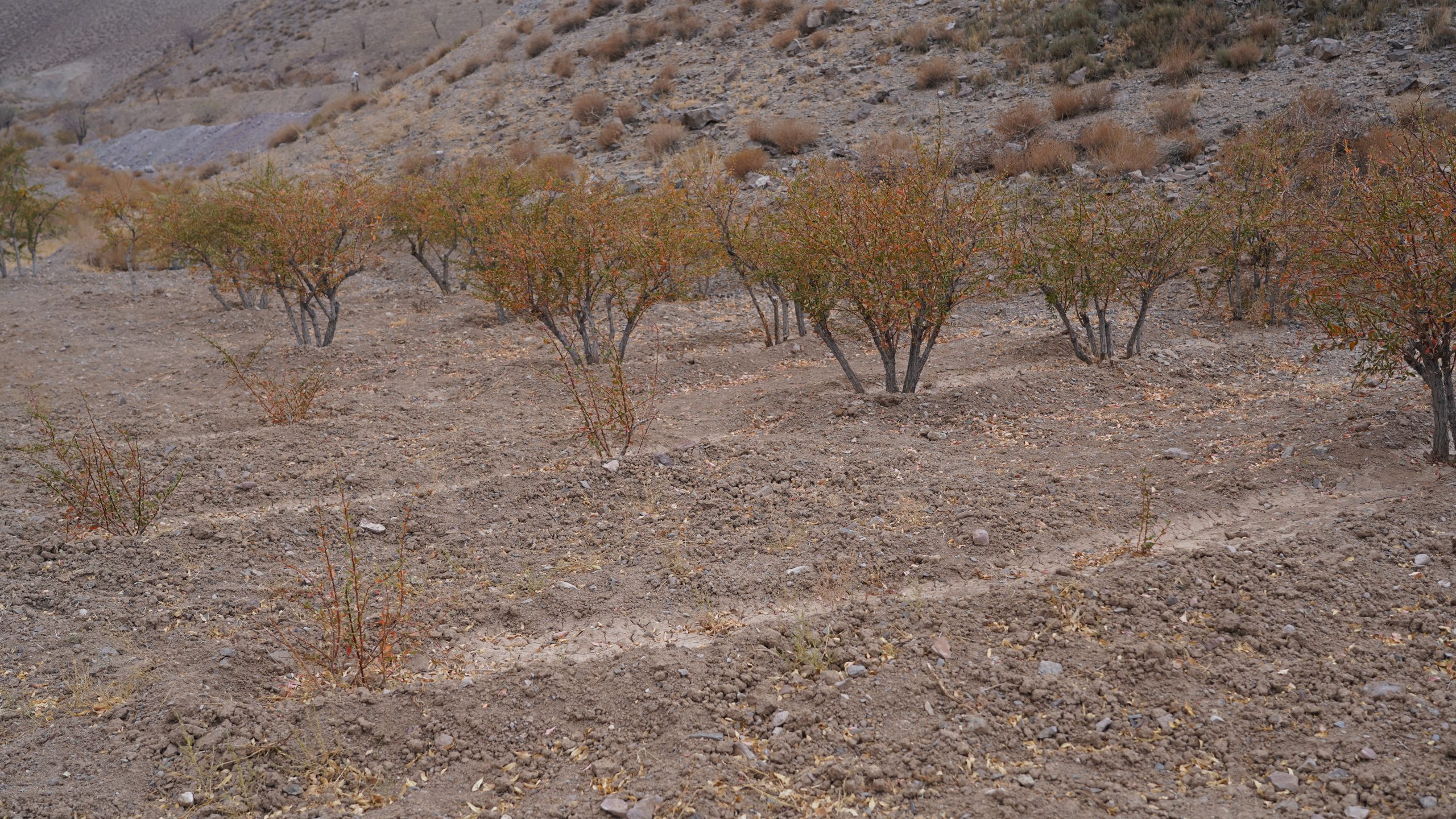 طرح انتقال آب روستای نخرود